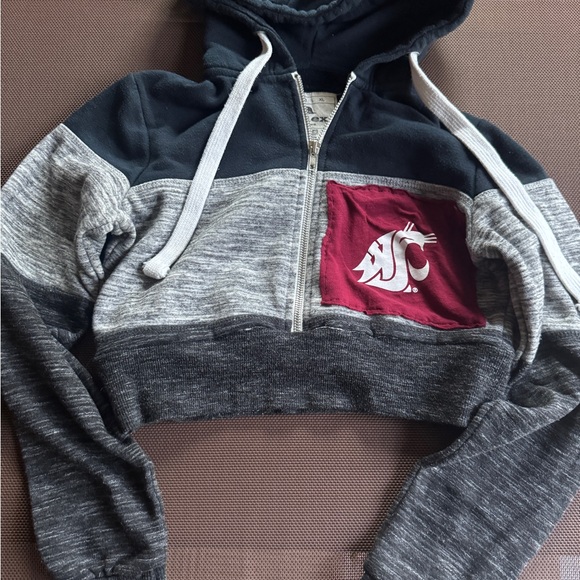 WSU reworked Colorblock Cropped Hoodie with Logo - Picture 1 of 8